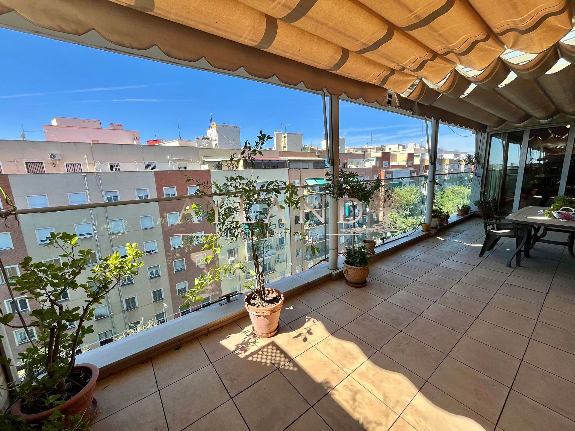 La terraza, con las copas de los árboles y los tejados de Arganzuela