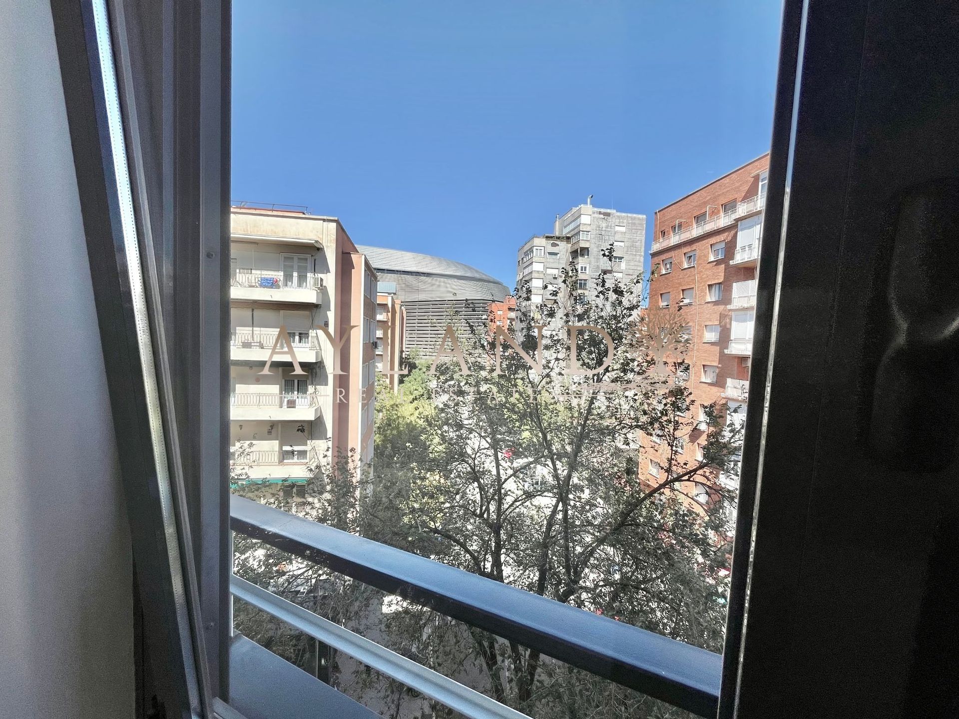 La vista desde el salón